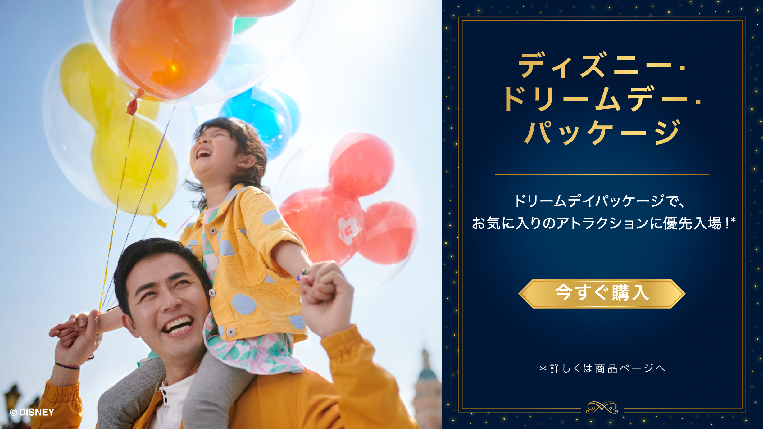 【新品未使用】上海ディズニーランド　アペタイザーセット ストア | 上海ディズニーリゾート