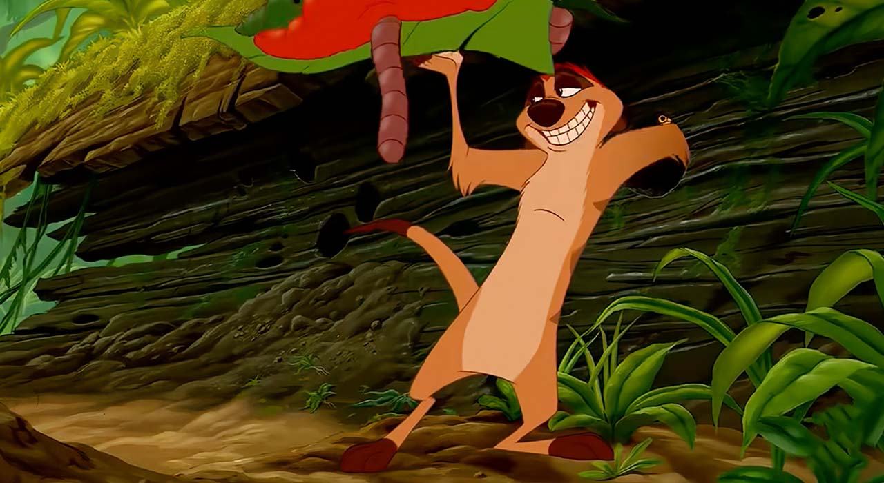 Timon1.jpg