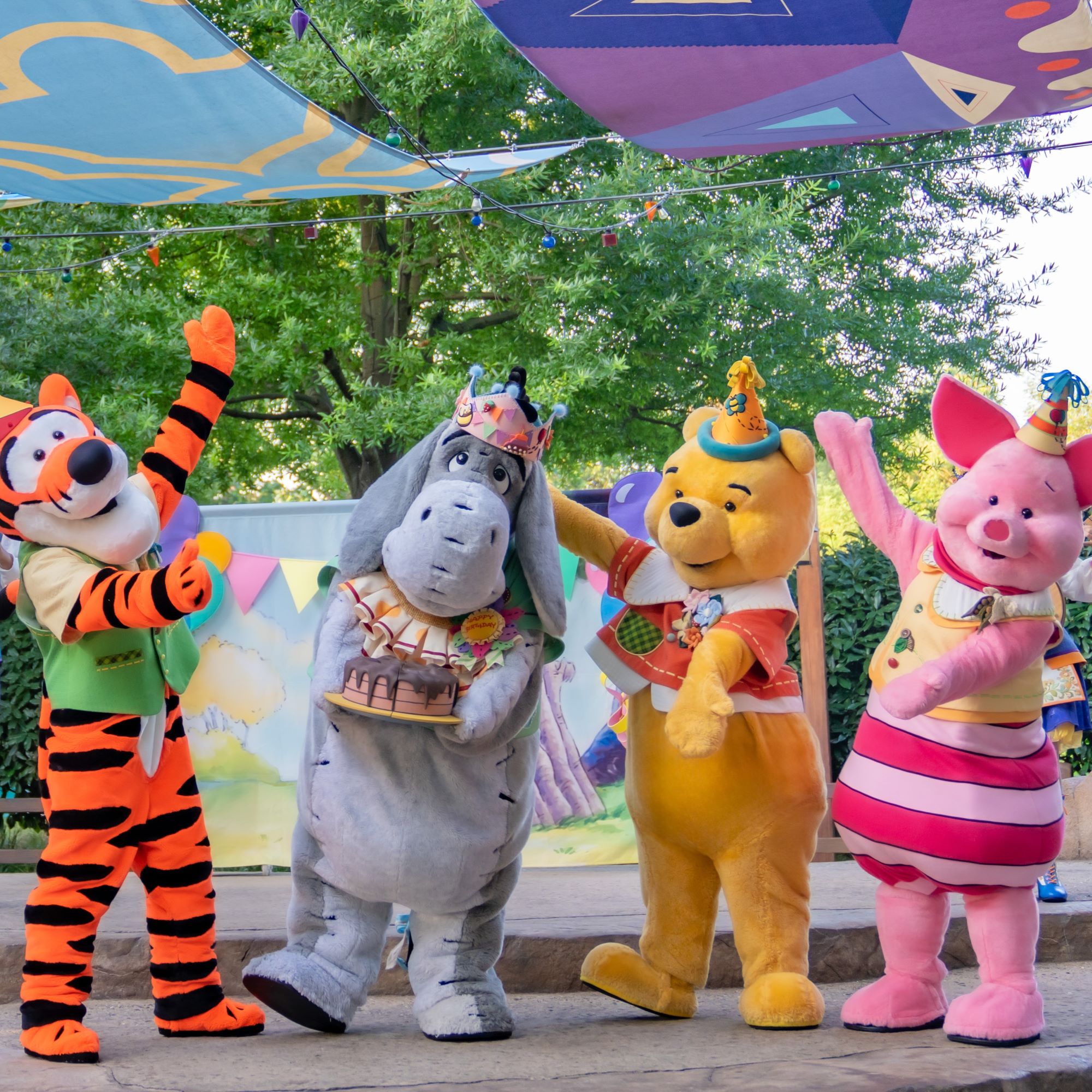 A Special Celebration in the Hundred Acre Wood | Entertainment